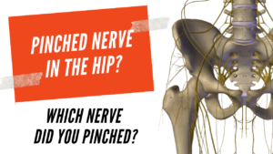 Pinched Nerve In The Hip