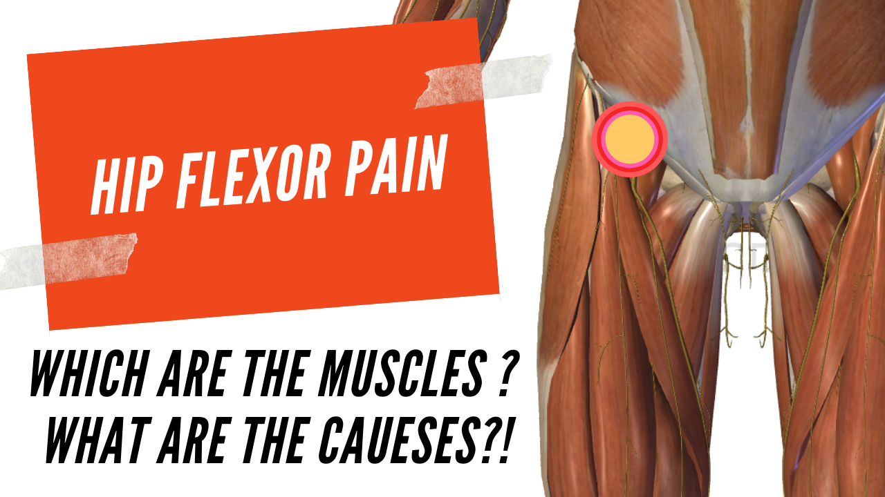 Hip Flexor Pain | Which Muscles And What Causes The Pain - AW BOON WEI
